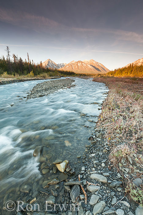 Quill Creek, Kluane, YT