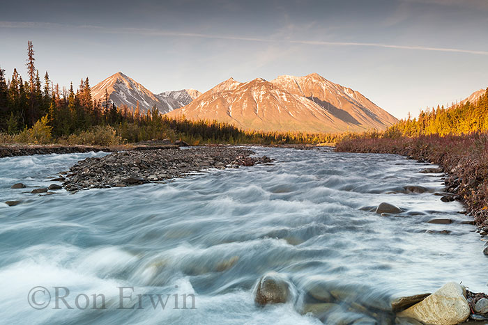 Quill Creek, Kluane, YT