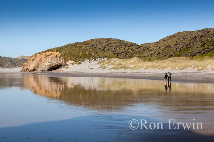 Wharariki Beach, New Zealand