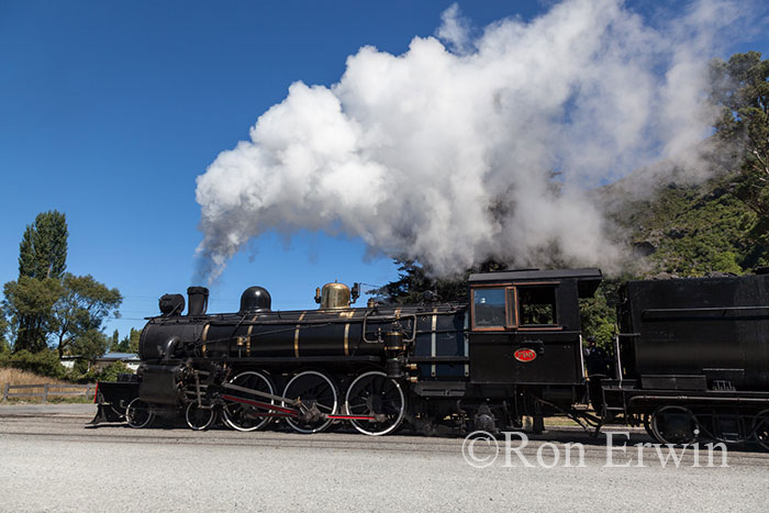 The Flyer, New Zealand