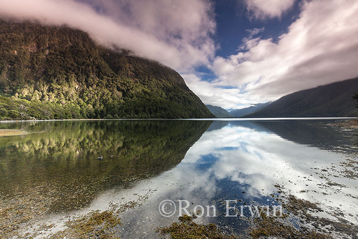 Lake Gunn, New Zealand