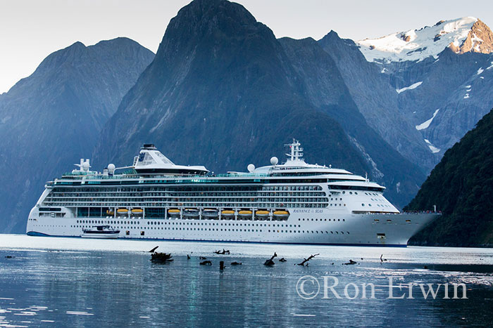 Cruiseship on Milford Sound, NZ