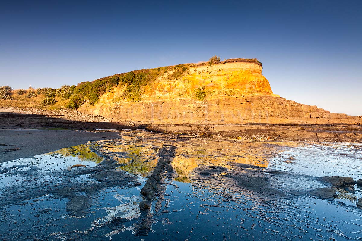 Curio Bay, New Zealand