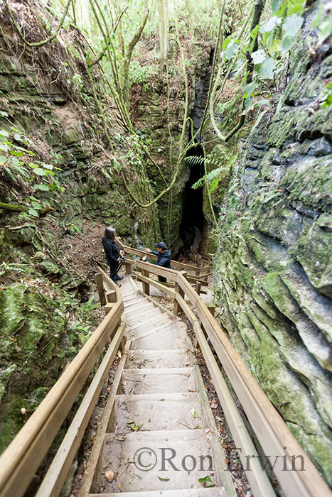 Footwhistle Cave Entrance, NZ