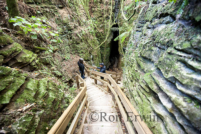 Footwhistle Cave Entrance, NZ