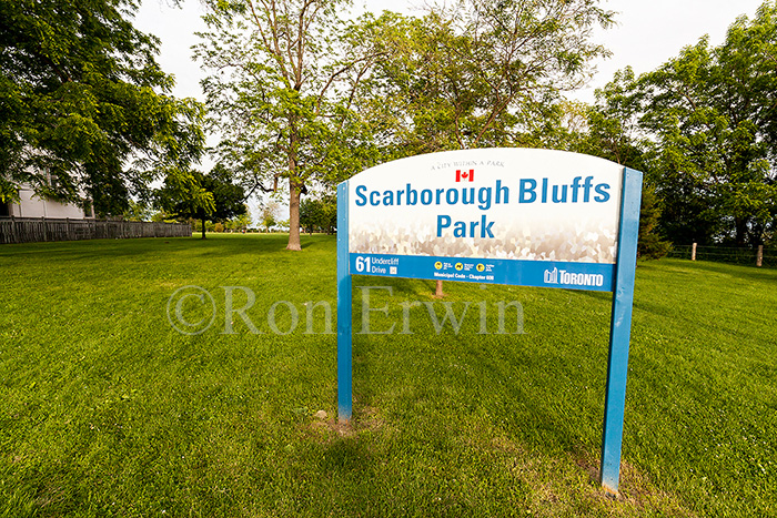 Scarborough Bluffs Park, ON