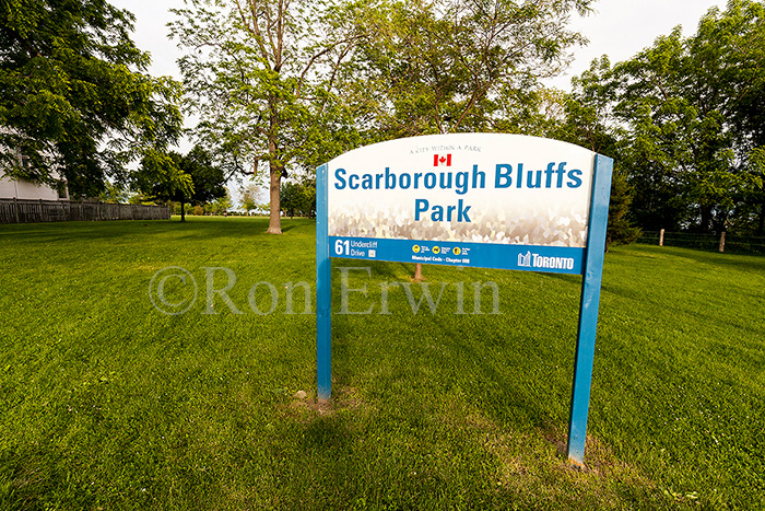 Scarborough Bluffs Park, ON