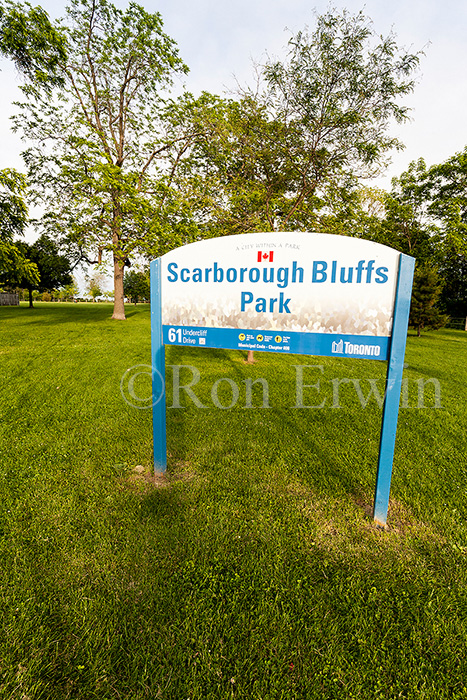 Scarborough Bluffs Park, ON