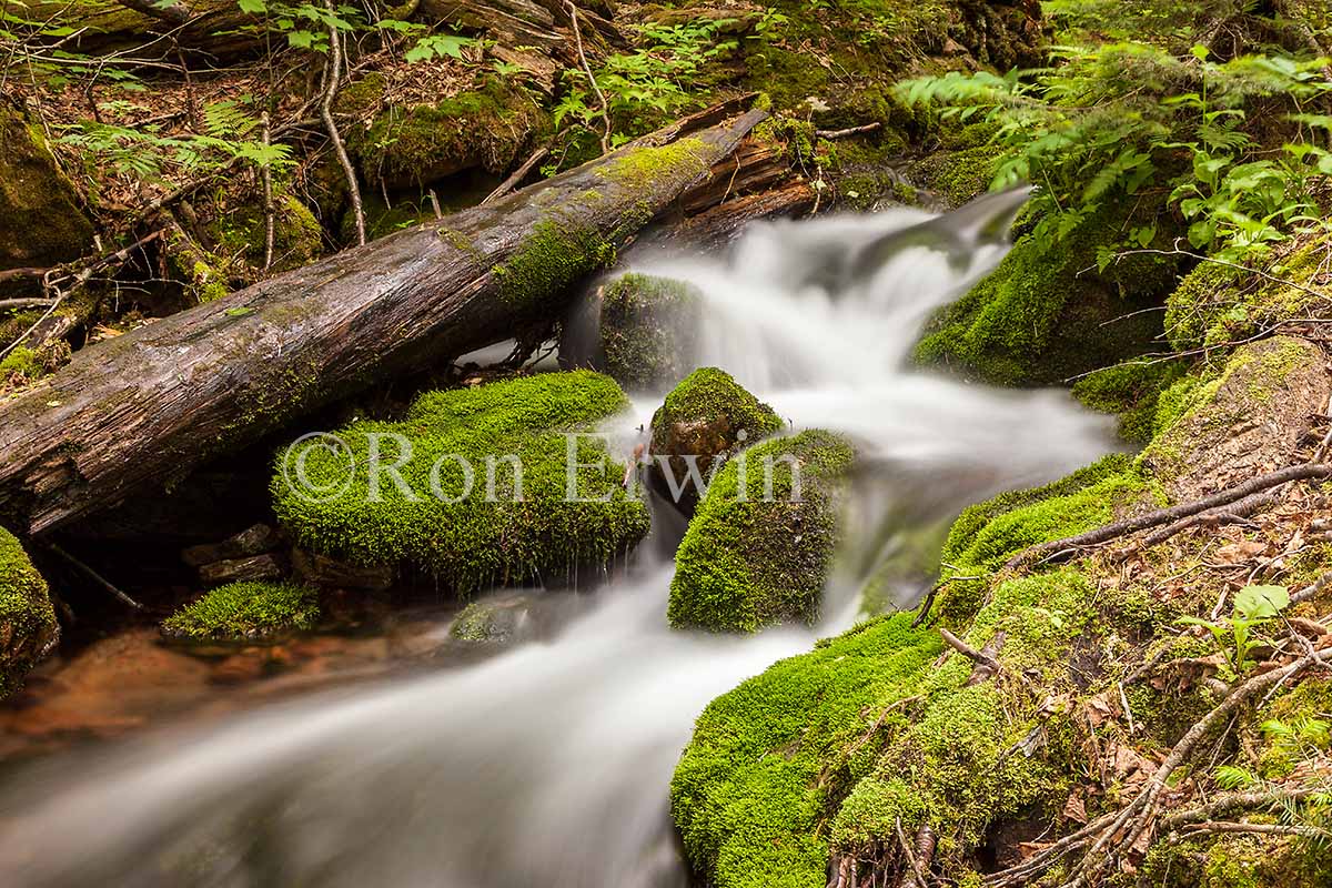 Mamozekel Brook, NB