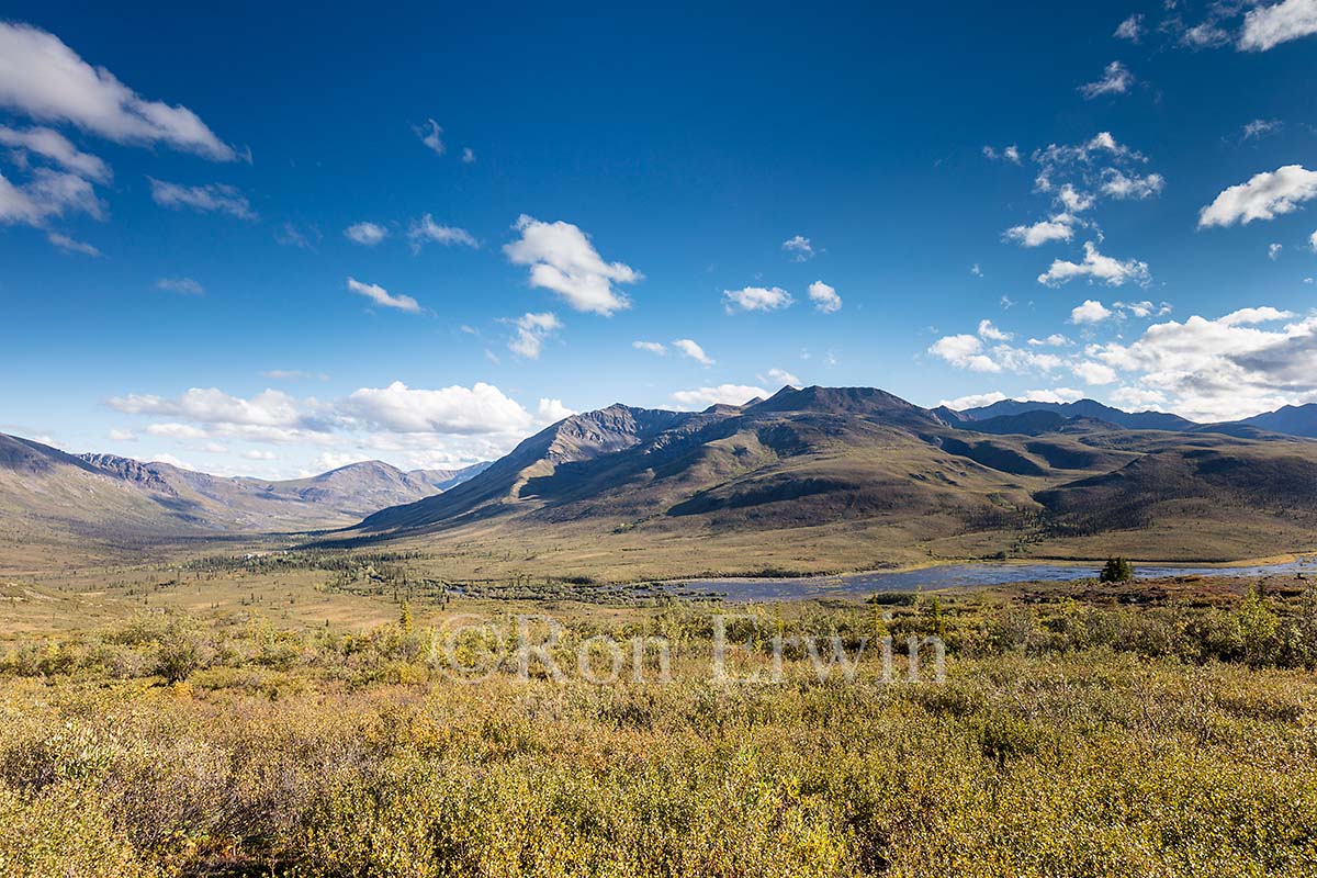 North Klondike Valley, YT