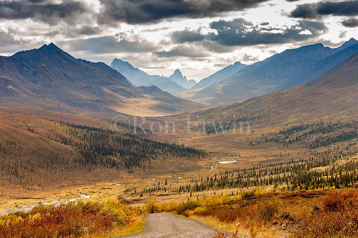 Tombstone Territorial Park, YT