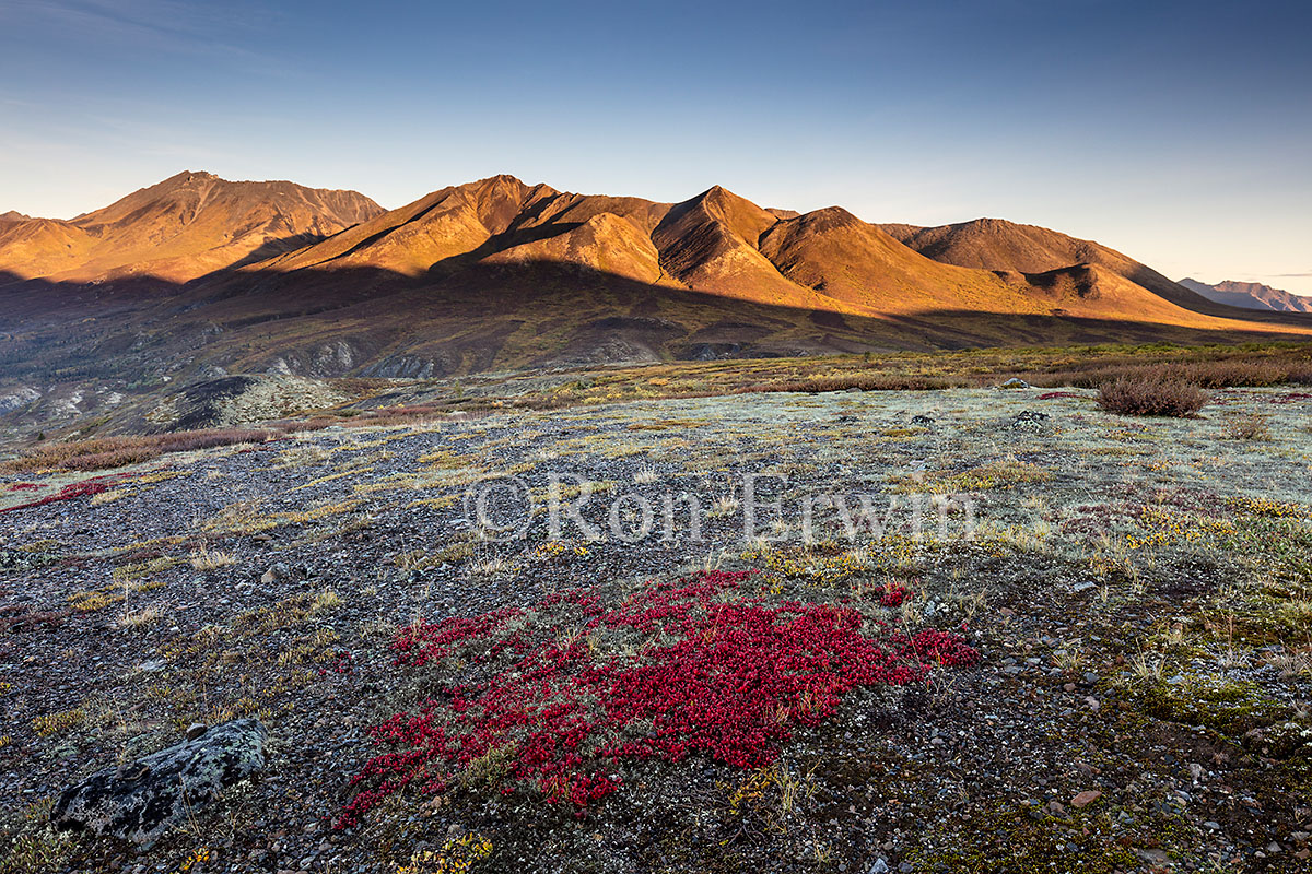 Cloudy Range, Tombstone, Yukon