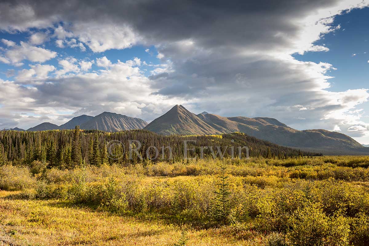 Along the Haines Highway, Yukon