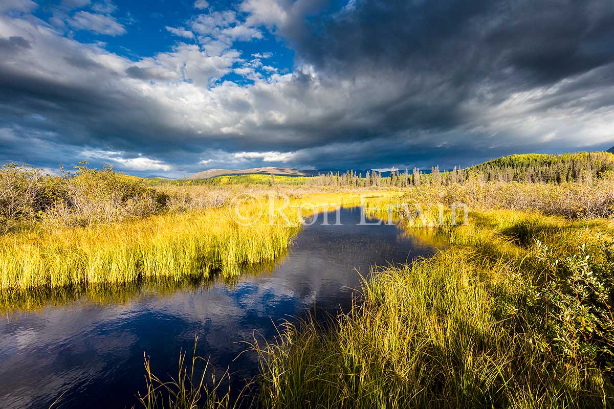 Flying Squirrel Creek, Yukon