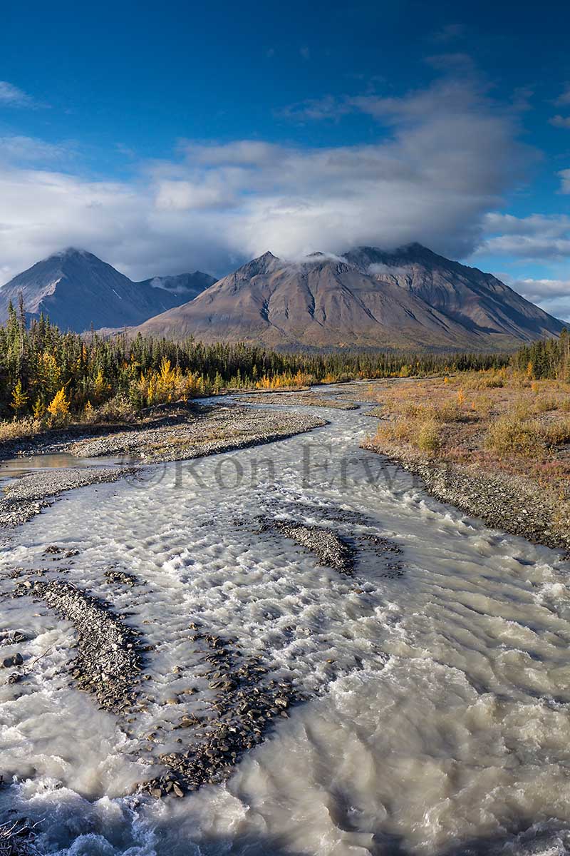 Quill Creek, Kluane Park, YT