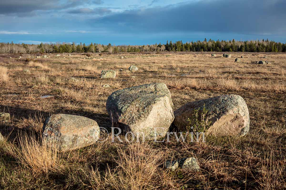 Glacial Erratic Rocks