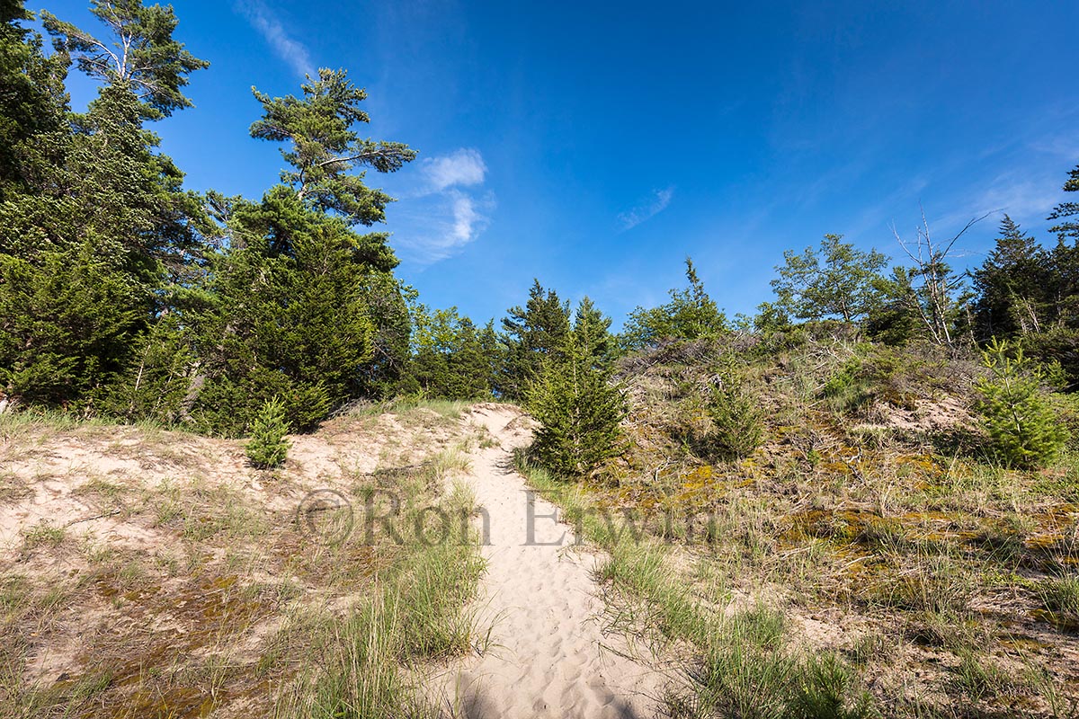 Trail through Dunes in the Pinery, ON