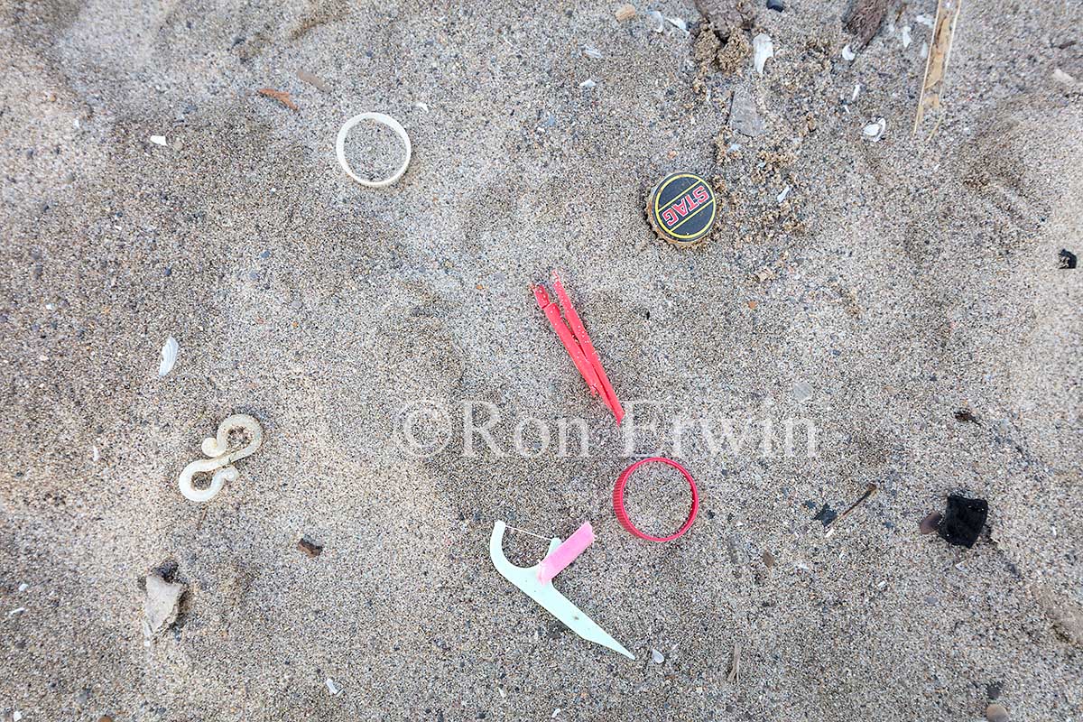 Bluffers Park Beach Garbage