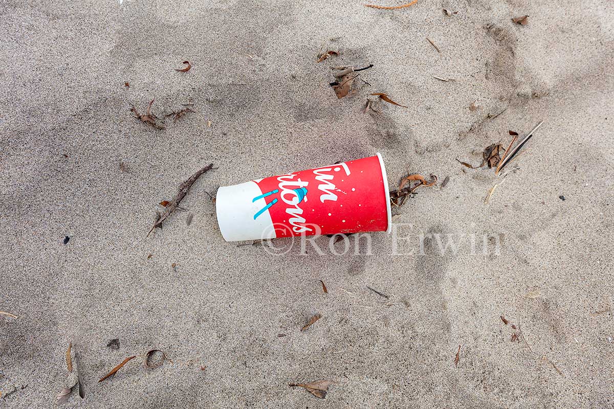 Bluffers Park Beach Garbage