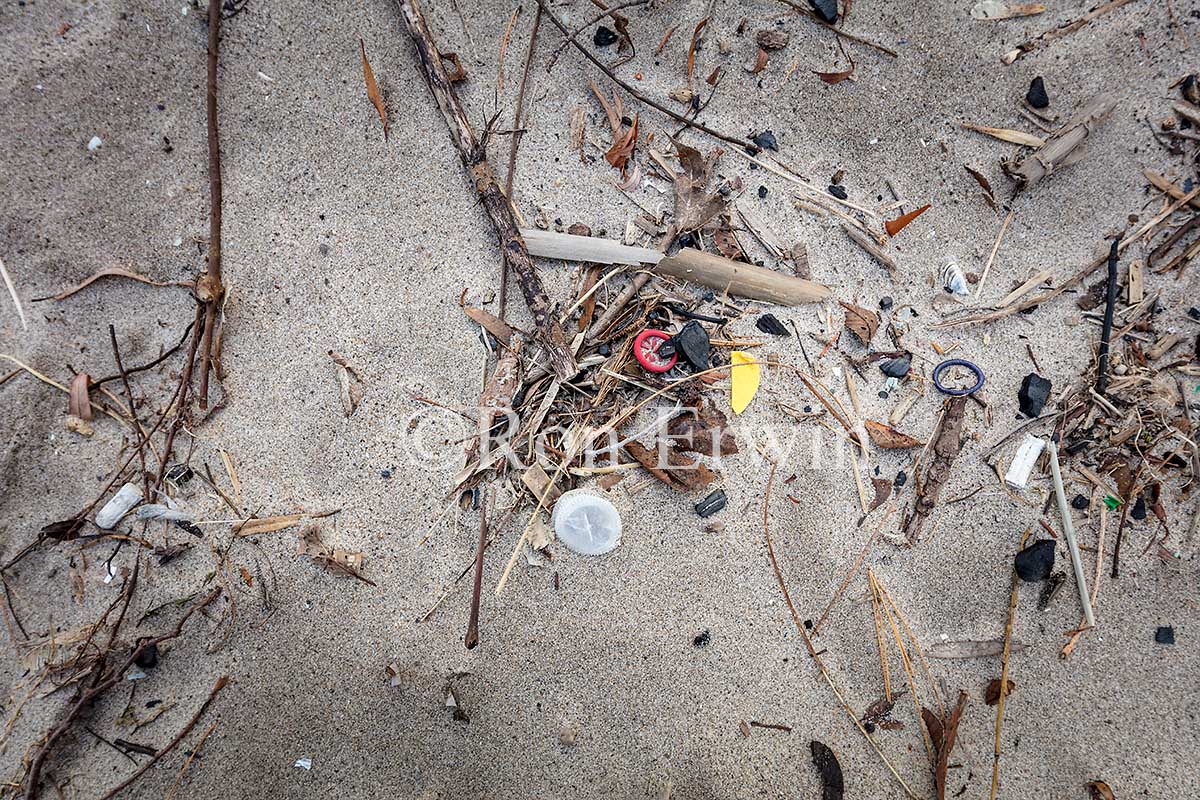 Bluffers Park Beach Garbage