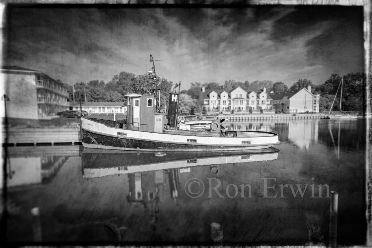 Tug in Picton Harbour