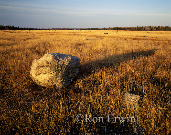 Grasslands Alvar, Ontario