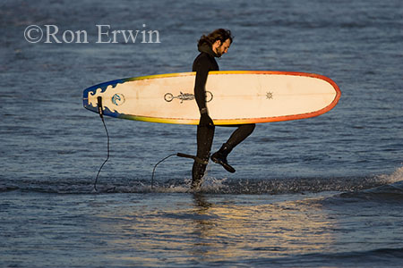 Surfer © Ron Erwin
